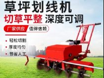 點(diǎn)擊查看詳細(xì)信息<br>標(biāo)題：草皮劃線(xiàn)機(jī) 閱讀次數(shù)：2742